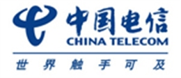百佳合作伙伴——中国电信